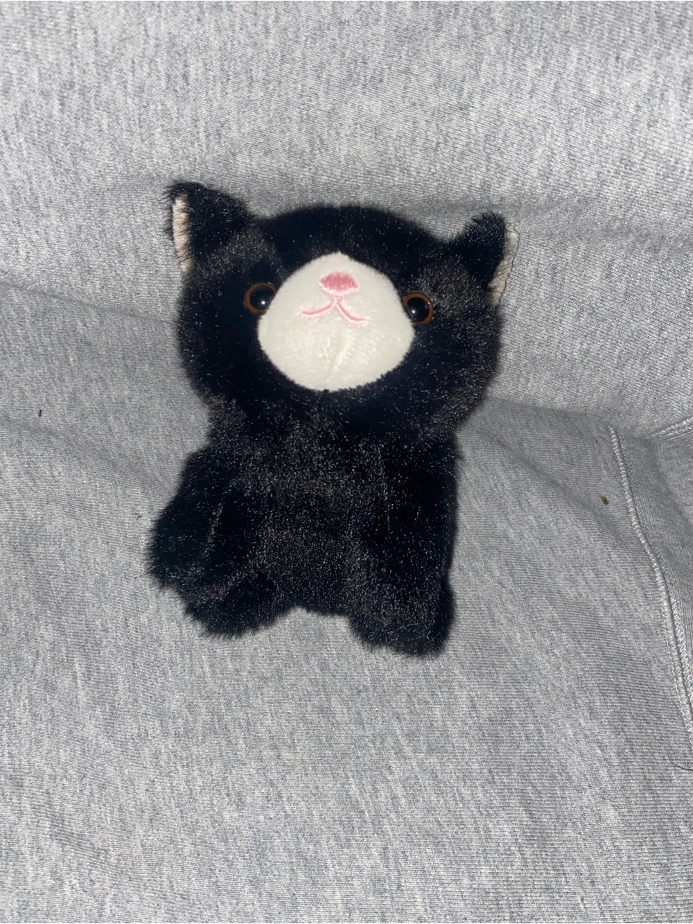 Small black plush kitty cat